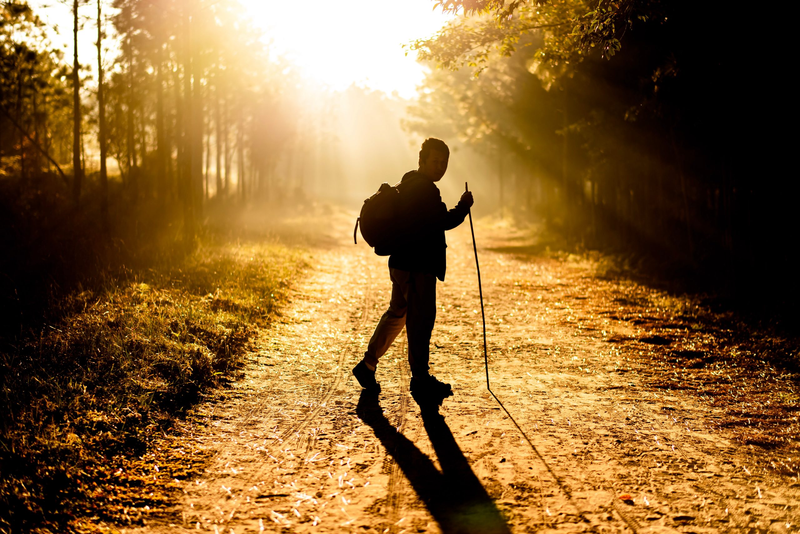 Why Walking Is The Most Underrated Form Of Exercise